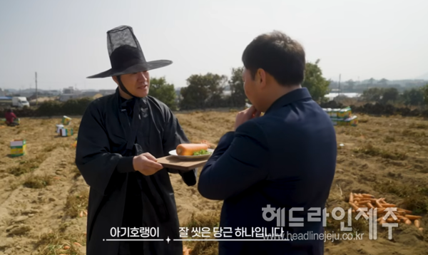 제라진 '당근전쟁, 흙밭요리사'