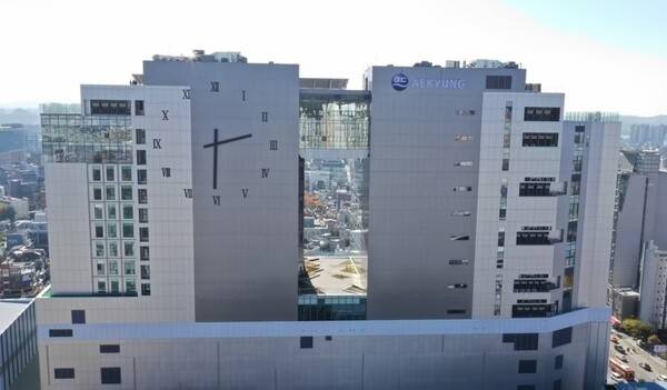 지주사 AK홀딩스는 제주항공 지원 과정에서 계열사 주식을 담보로 총 3180억원 규모의 주식담보대출을 일으킨 상태다. [출처=애경그룹]