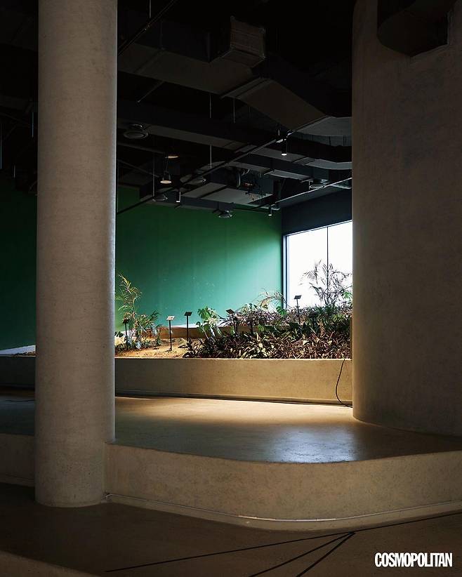 접근성을 높이기 위해 저층형으로 설계한 서서울미술관의 전경.