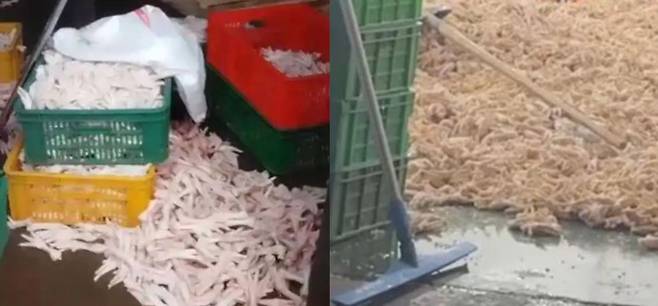 중국의 한 닭발 가공 공장에서 닭발을 더 하얗게 만들기 위해 과산화수소를 사용한 사실이 공개돼 위생 논란이 일고 있다./사진=CCTV