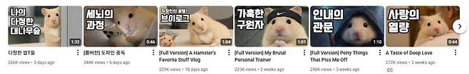 유튜브 크리에이터 '정서불안 김햄찌'. 사진=유튜브 캡처