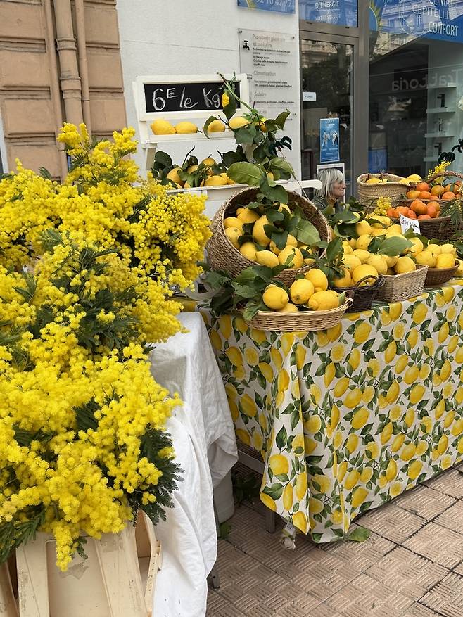 망통 레몬 가게.  /사진= 강예신 여행+ 기자