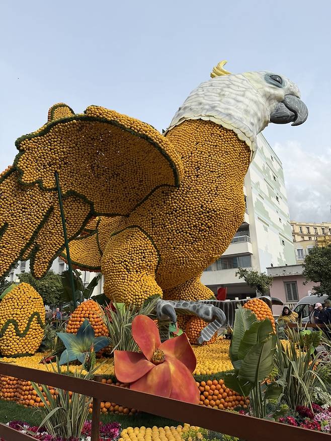 독수리 감귤 조형물.  /사진= 강예신 여행+ 기자