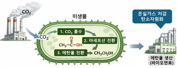 생물학적 탄소 포집 및 활용에 의한 CO2 전환 모식도[국립생물자원관 제공]