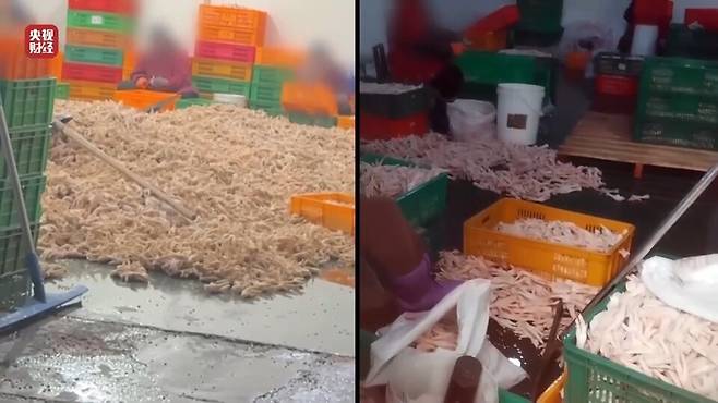 중국의 한 유명 식품가공업체가 닭발 표백을 위해 과산화수소를 사용하는 등 위생 논란으로 적발돼 국내에까지 불안감이 확산된 가운데 식품의약품안전처는 17일 "국내에 수입된 사례가 없다"고 밝혔다. ⓒ중국 관영 CCTV 캡처