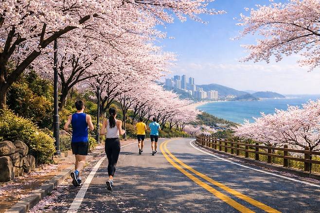 벚꽃이 핀 부산 해운대에서 러닝을 즐기는 모습(생성형 AI 제작 이미지)    파라다이스 호텔 부산 제공