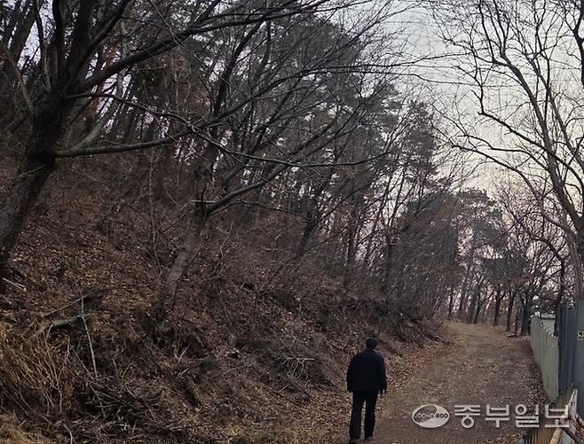 세 살배기 친딸을 6년 전 학대해 숨지게 한 뒤 시신을 산 속에 유기한 30대 여성과 그를 도운 30대 남성이 경찰에 붙잡혔다. 사진은 18일 오후 유기된 딸의 유해로 추정되는 시신이 발견된 안산시 단원구 와동의 한 야산의 모습. 최진규기자