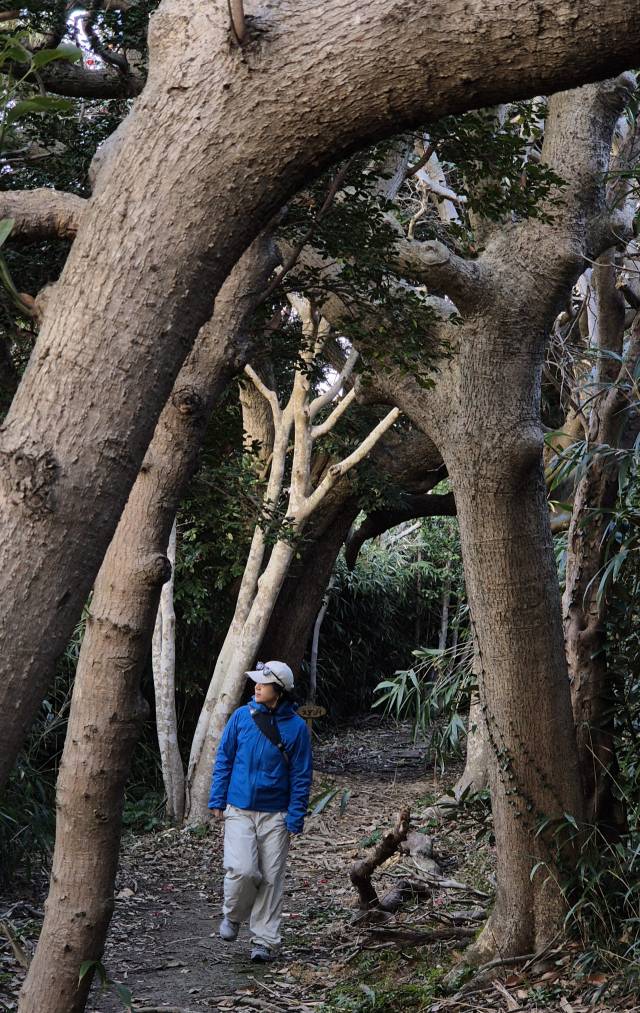 토노사키국립공원 해안산책로. 김도훈 기자