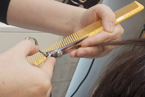 미용사가 손님의 머리를 자르고 있다. <영남일보 DB>