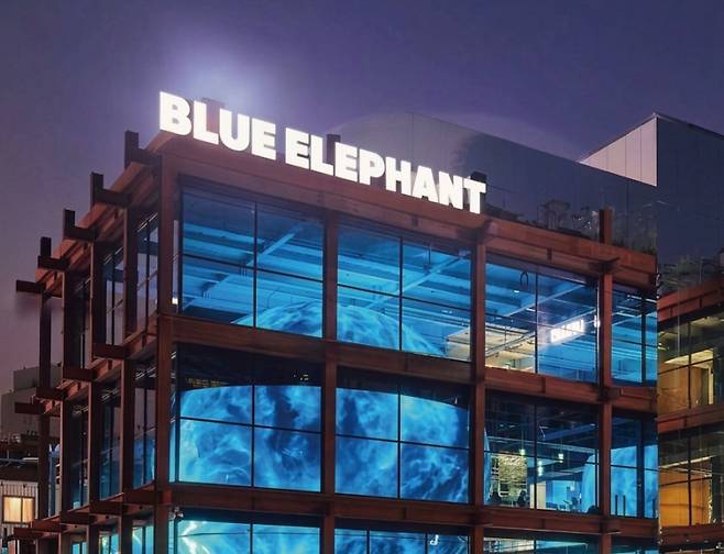 안경·선글라스 브랜드 젠틀몬스터의 디자인을 모방한 혐의로 블루엘리펀트 최 전 대표가 구속기소됐다. / 블루엘리펀트 인스타그램&nbsp;