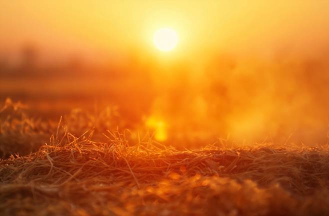 (출처=모션엘리먼츠)