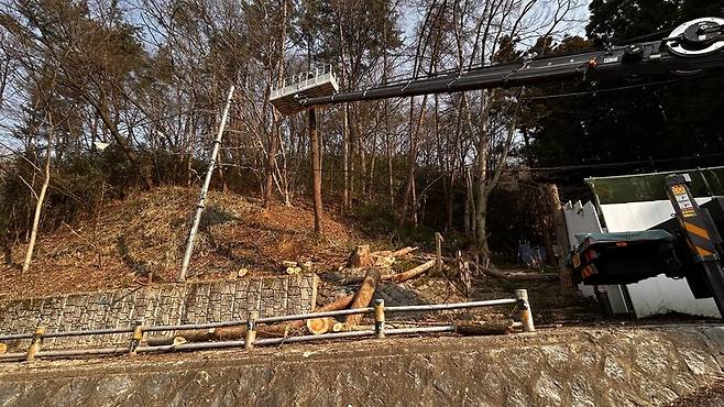 힐링센터와 하늘길 연결로 벌목 모습. 전북환경운동연합 제공