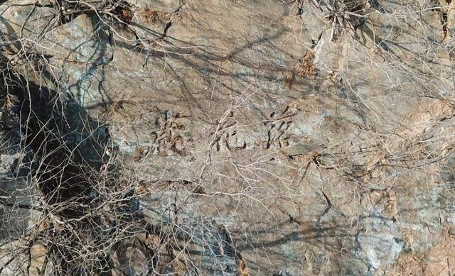 사진 설명: 낙화암비의 유력한 원 위치로 지목된 낙화암(落花岩) 암각문이 새겨진 최상부 돌출 단애면