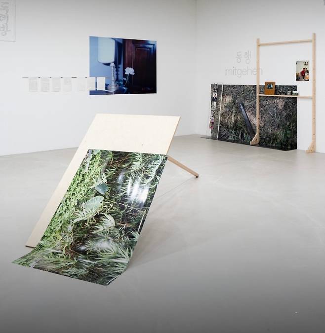 국립현대미술관 창동레지던시에서 열린 김옥선 개인전 《옥선 혜림 인선》 전시 전경. 사진은 서로 다른 시간과 기록이 한 공간에 배열되는 방식을 보여준다. (작가 SNS)