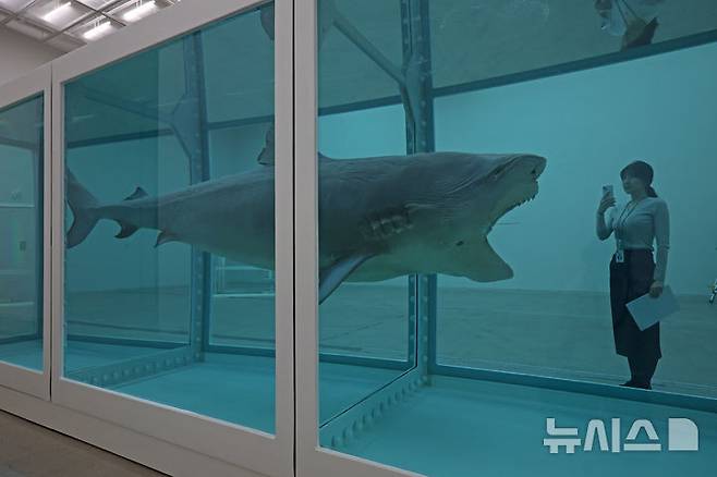[서울=뉴시스] 박진희 기자 = 국립현대미술관은 영국 시각미술가 데이미언 허스트(Damien Hirst)의 아시아 최초 대규모 개인전 ‘진실은 없어 그러나 모든 것은 가능하지’ 언론공개회를 18일 서울 종로구 국립현대미술관에서 갖고  자연사 연작중 '살아있는 자의 마음 속 죽음의 물리적 불가능성' 작품을 선보이고 있다. 2026.03.18. pak7130@newsis.com