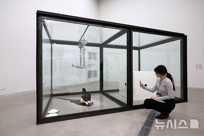[서울=뉴시스] 박진희 기자 = 영국 시각미술가 데이미언 허스트(Damien Hirst)가 18일 서울 종로구 국립현대미술관에서 아시아 최초 대규모 개인전 ‘진실은 없어 그러나 모든 것은 가능하지’ 기자간담회 깆고 작품 '천 년'을 선보이고 있다. 2026.03.18. pak7130@newsis.com