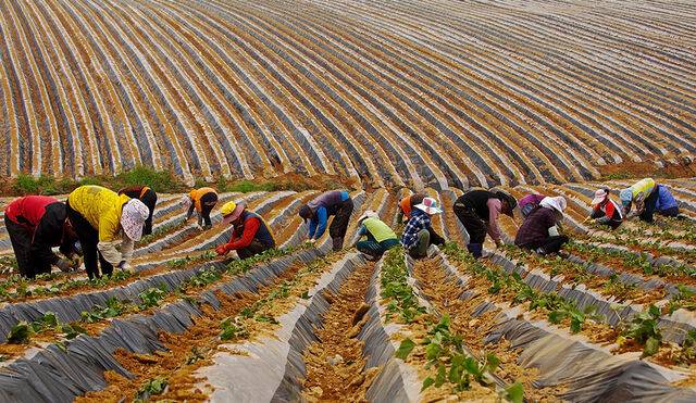 사진은 기사의 특정 사실과 관련 없음. 클립아트코리아