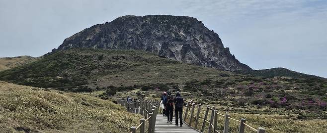 한라산 위세오름으로 가는 선작지왓 전경. 제주 강동삼 기자