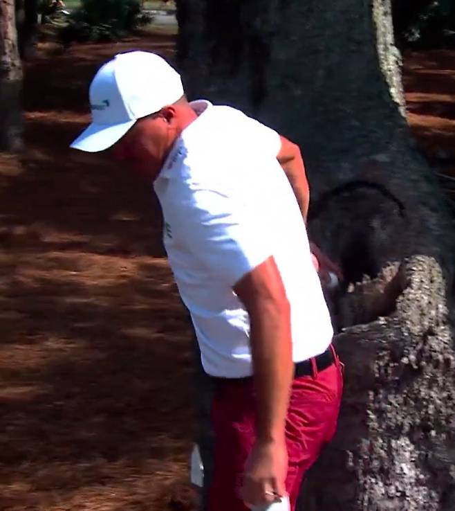 케빈 로이가 지난 16일 열린 PGA투어 플레이어스 챔피언십 최종 라운드 중 나무 구멍으로 들어간 자신의 공을 꺼내고 있다.  SNS 캡처