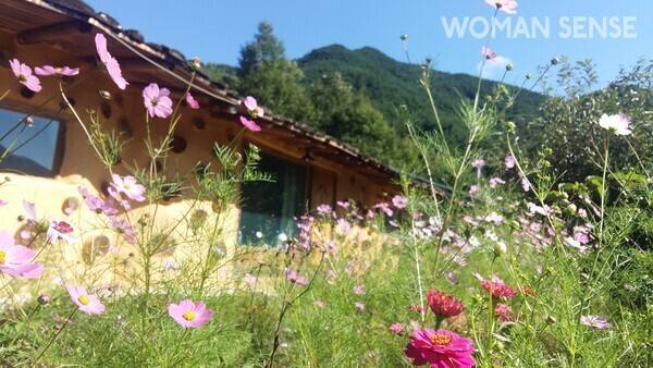 사진=순이네흙집 제공