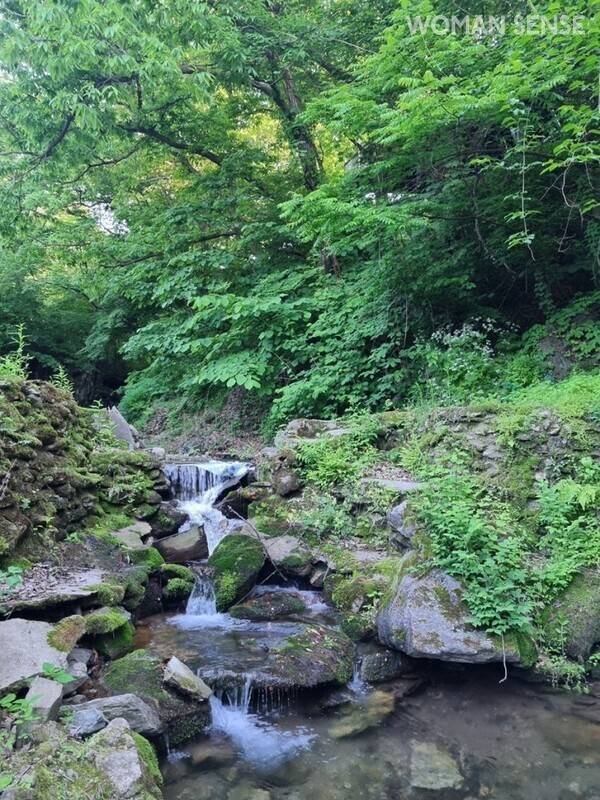 사진=그랜마하우스 제공