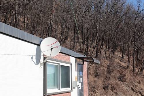 임시주택 뒤 까맣게 변한 숲 [촬영 황수빈]