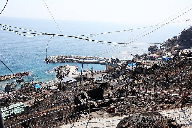 복구는 언제쯤 (영덕=연합뉴스) 손대성 기자 = 지난해 4월 9일 경북 영덕군 영덕읍 석리 따개비마을이 지난달 번진 산불로 여기저기 타 처참한 모습을 보이고 있다. 2025.4.9 sds123@yna.co.kr [연합뉴스 자료사진]