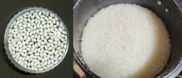 정다미 백미와 압력솥으로 갓 지은 밥. 사진=수원농협·신연경기자