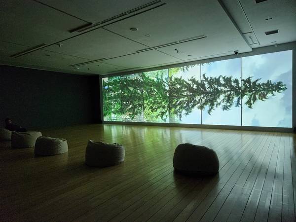 6월 28일까지 열리는 경남도립미술관 기획전 <어디에나 있고 어디에도 없을> 중 3전시실 에이샤-리사 아틸라 작 '수평-바카수오라'. /류민기 기자