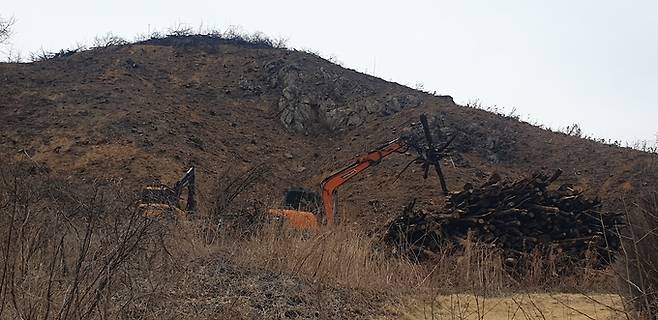 ▲ 청송군 파천면 관리 속칭 '큰골'에서 불에 타버린 나무를 작업자들이 중장비를 이용해 한 곳에 모으는 작업을 하고 있다. 서충환 기자
