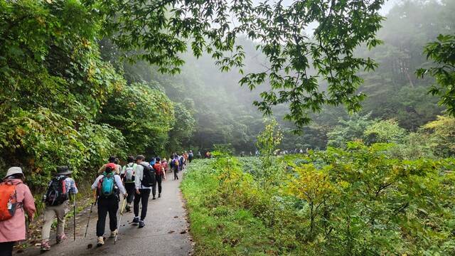 산으로 둘러싸인 산책로를 많은 시민들이 즐기고 있다.(대구광역시 걷기협회)