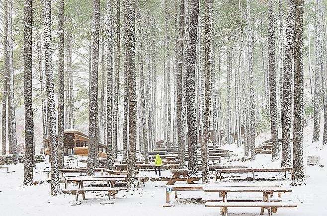 백운산 자연휴양림