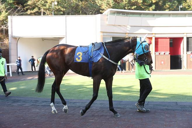 에이스하이. /한국마사회 제공