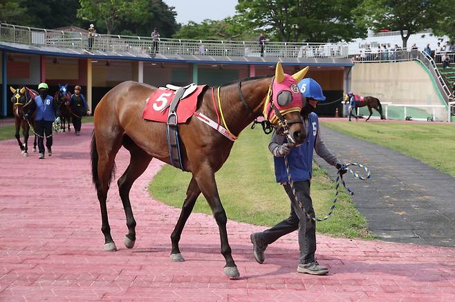 오늘도스마일. /한국마사회 제공