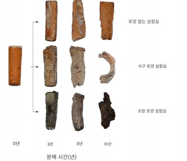 ▲실험실과 야외 조건에서 3600일 동안 달라진 담배꽁초의 모양.  (사진=Environmental Pollution, 2026)