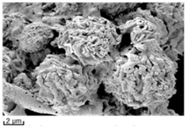 ▲담배꽁초 필터가 분해되면서 만들어진 구형 결정체. (사진=Environmental Pollution, 2026)