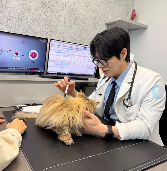 줄기세포 치료에 대해 설명하는 수의사