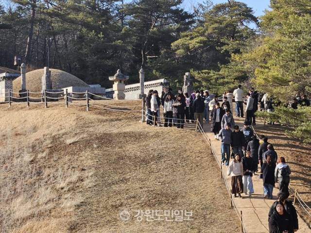 ▲ 영화 ‘왕과 사는 남자’의 주인공이자 비운의 조선 6대 임금 단종의 능(陵)인 장릉이 방문객들로 북적거리고 있다. 방기준 기자 [강원도민일보 자료사진]