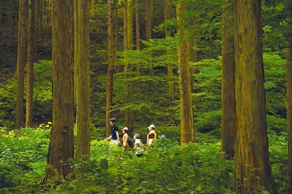 꾸준한 등산이 정신질환 위험을 낮추는 것으로 나타났다.