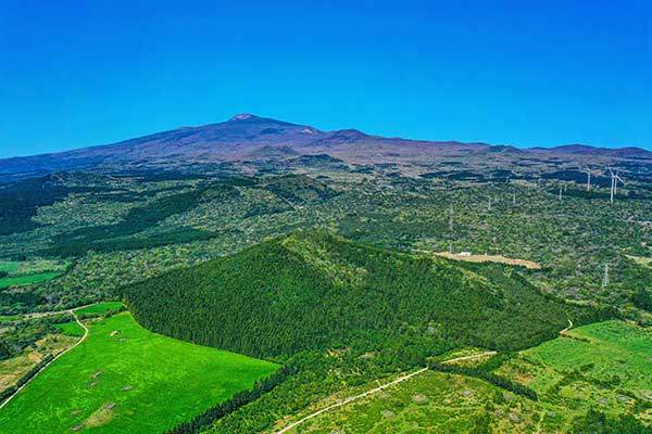 남동쪽 상공에서 본 수망리 민오름과 한라산. 남쪽의 광활한 초지대는 사진명소다.