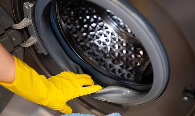 드럼세탁기 문 주변 고무패킹을 확인하는 모습. 고무패킹 안쪽에는 물기와 세제 찌꺼기가 남아 냄새의 원인이 될 수 있다. 사진=게티이미지뱅크