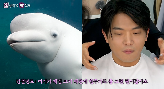 유튜브 채널 ‘셰프 안성재’ 화면.