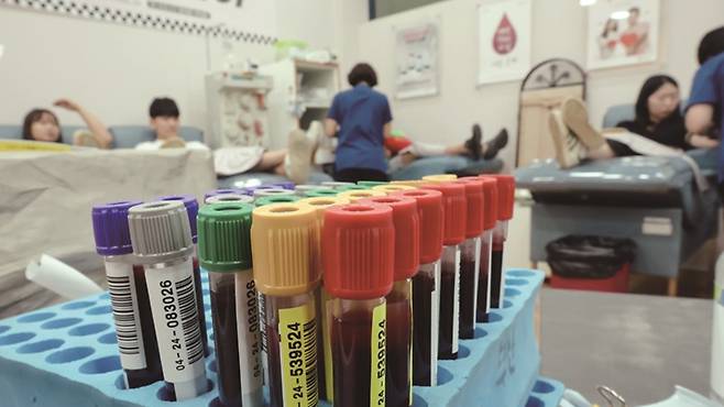 대한적십자사 지역 혈액원에서 불법 채혈·검사' 사건이 터졌다.[사진｜뉴시스]&nbsp;