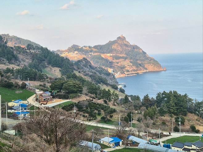 8급 공무원 A씨가 만취 상태로 운전하다 민가 인근 밭두렁으로 돌진해 추락하는 사고가 발생한 울릉군 울릉읍 사동리(중령) 마을 전경. /황진영 기자