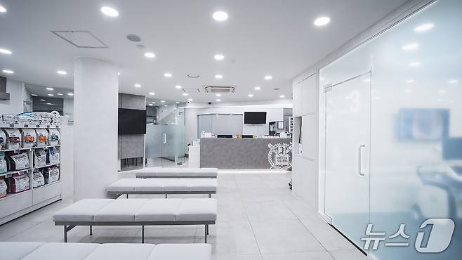 솔동물의료센터가 개원 10주년을 맞아 새단장을 했다(동물병원 제공). ⓒ 뉴스1