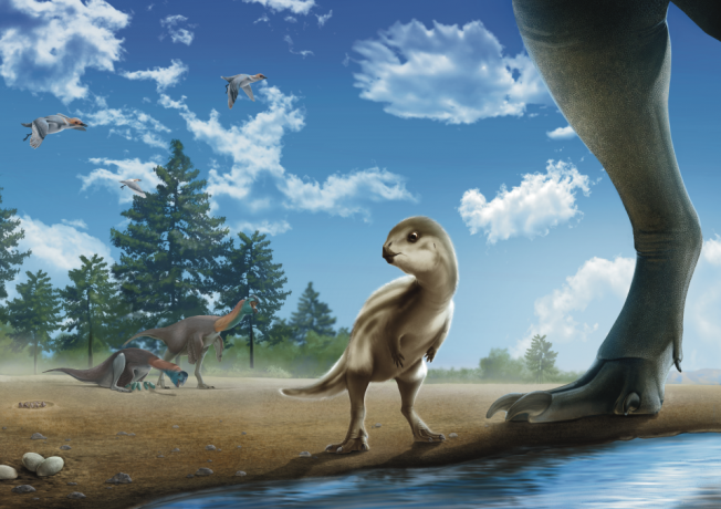 신종 공룡 ‘둘리사우루스 허미나이’가 살았던 백악기 중기 한반도를 그린 그림. 가운데 작은 공룡이 둘리사우루스다. 
팔레오아티스트 이준성 씨 제공