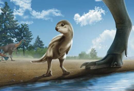 전남 신안에서 발견된 아기 공룡 둘리사우루스 상상도. 연구진 제공