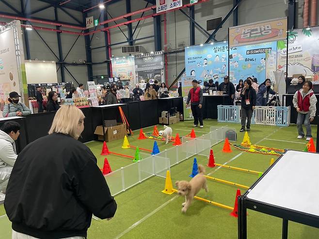 반려견 스포츠 대회 '멍드컵' 현장 [촬영 김세린]
