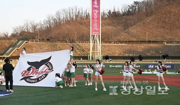 치어리더의 축하공연이 펼쳐지고 있다. 김경우 기자 woo@ksilbo.co.kr