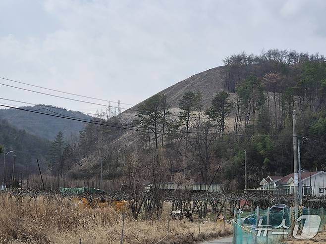 지난 17일 울산 울주군 온양읍 귀지마을 뒷산에 산불의 흔적이 남아있다. 울주군은 불에 탄 나무 일부를 베어냈다.2026.3.20ⓒ 뉴스1 박정현 기자